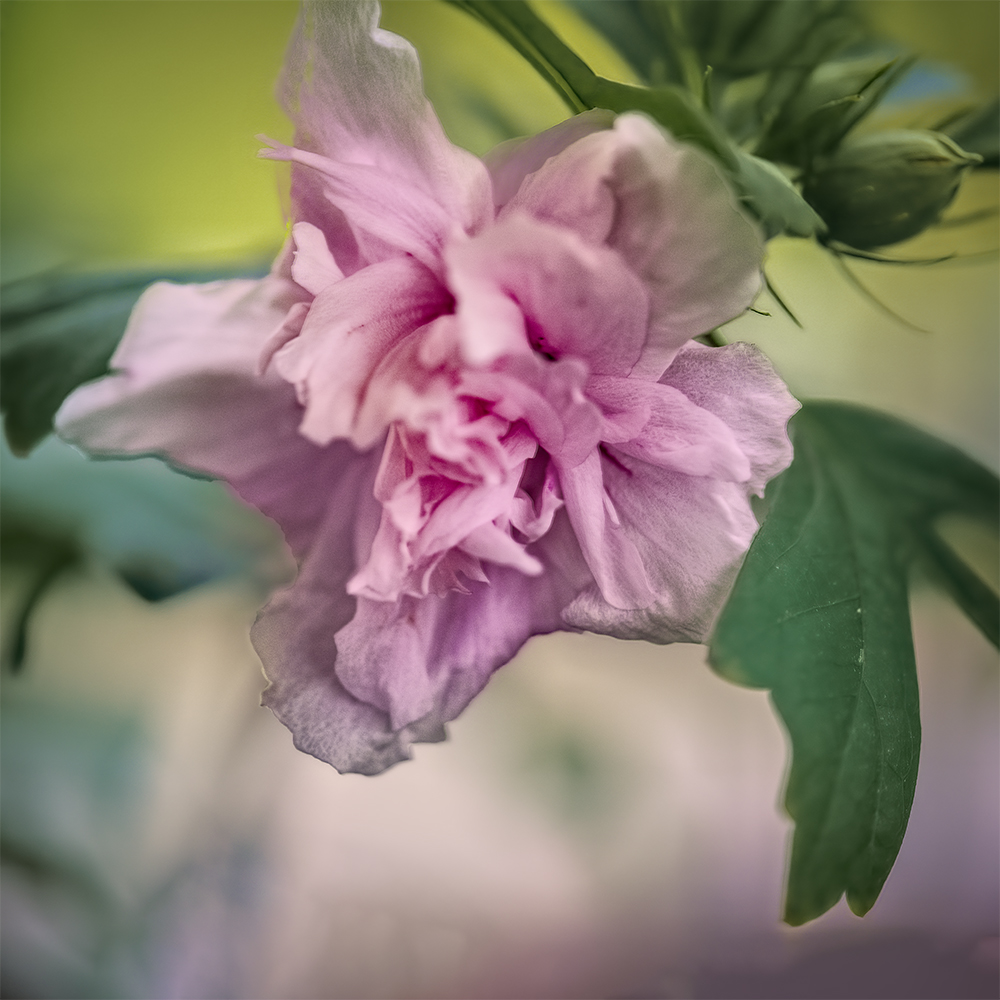 photo "Postcard #2" tags: nature, 