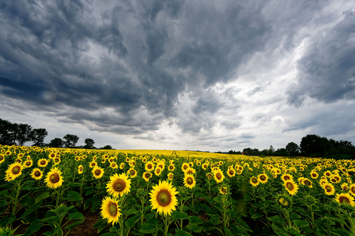 фото "***" метки: природа, пейзаж, Europe