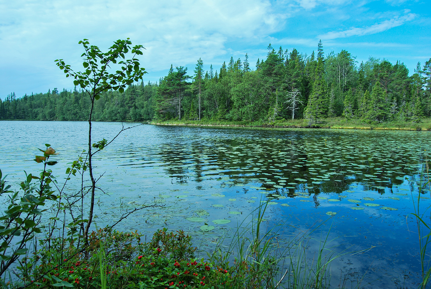 photo "***" tags: landscape, 