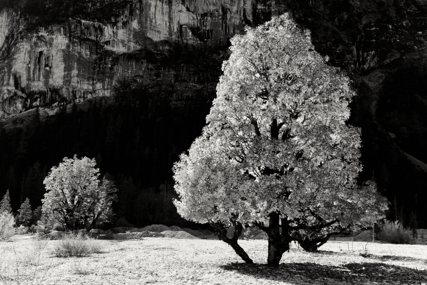 photo "***" tags: landscape, nature, black&white, Europe, autumn, mountains