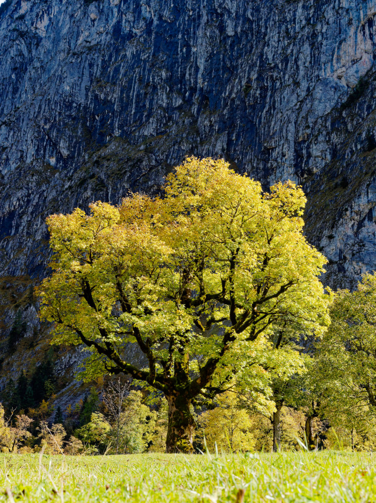 photo "***" tags: landscape, nature, Europe, autumn, mountains