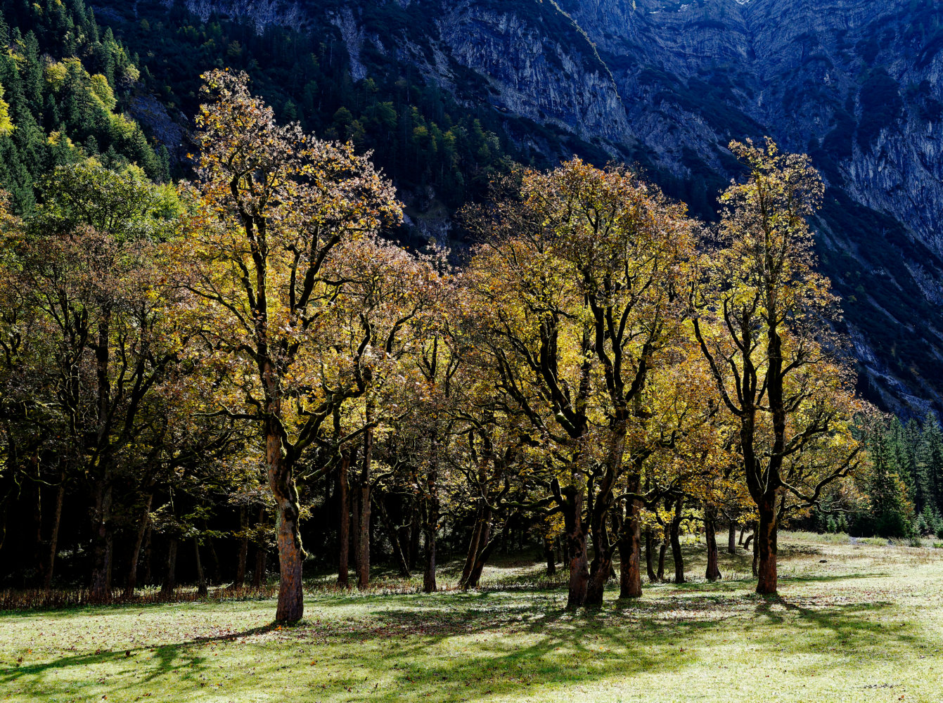 photo "***" tags: landscape, nature, Europe, autumn, mountains