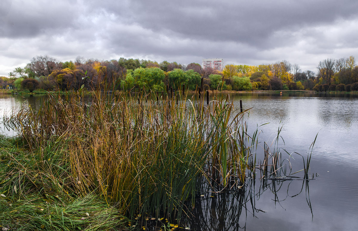 photo "***" tags: landscape, 