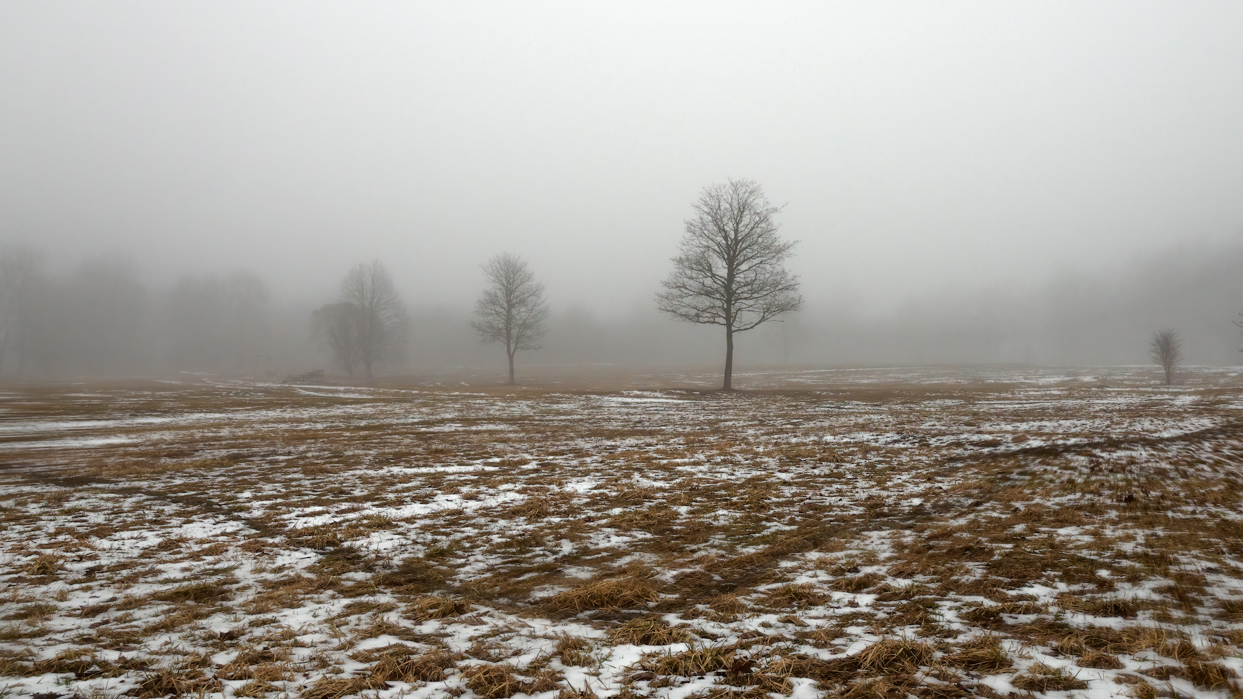 photo "***" tags: landscape, 