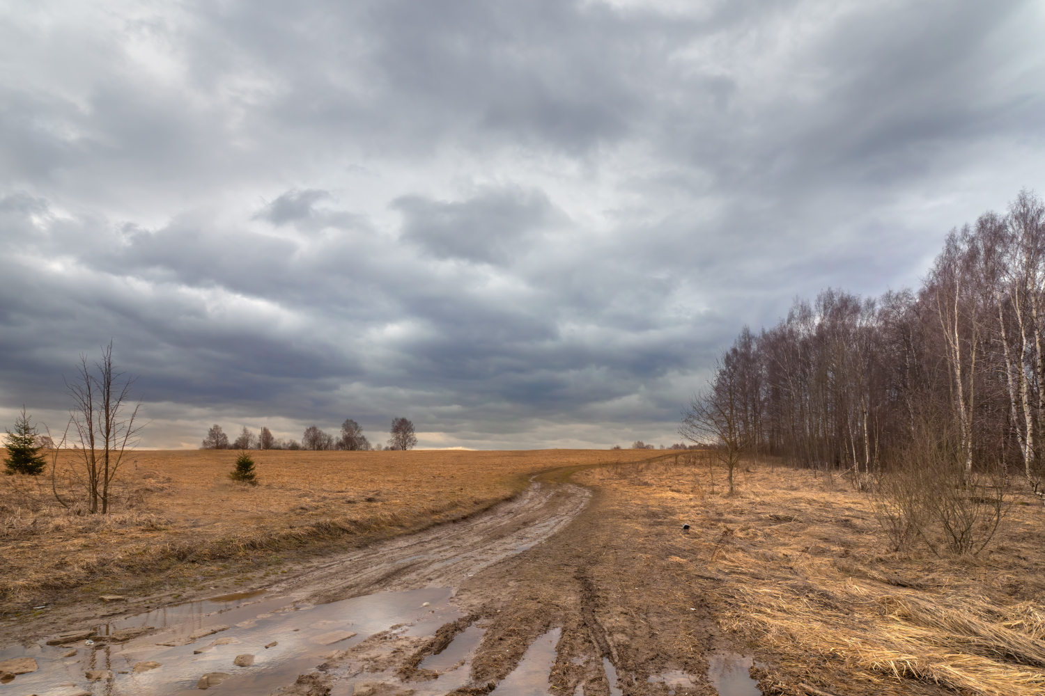 photo "***" tags: landscape, 