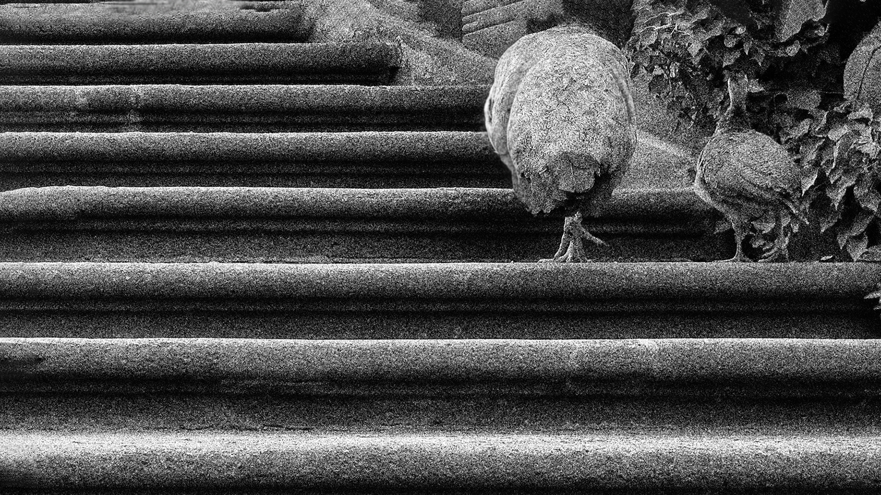 photo "павлины, говоришь?... Прага..." tags: , 