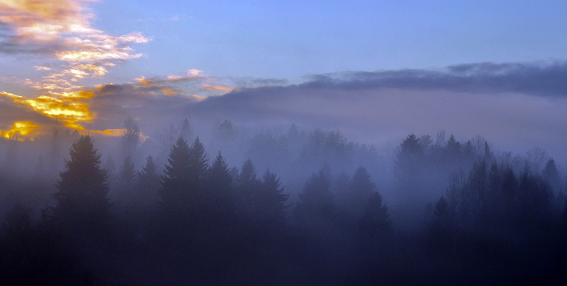 photo "***" tags: landscape, 