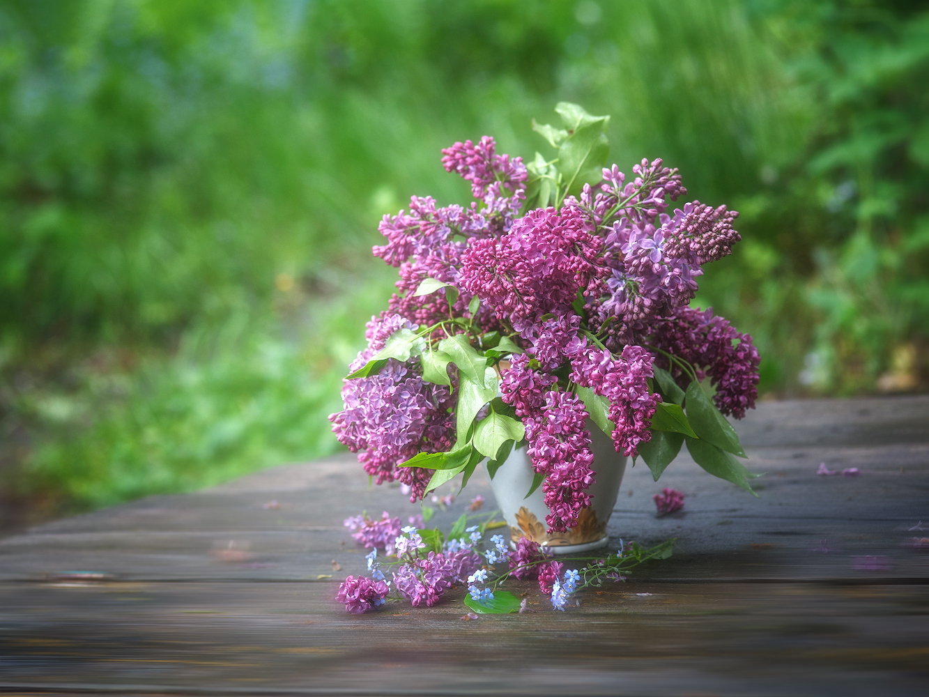 photo "***" tags: still life, 