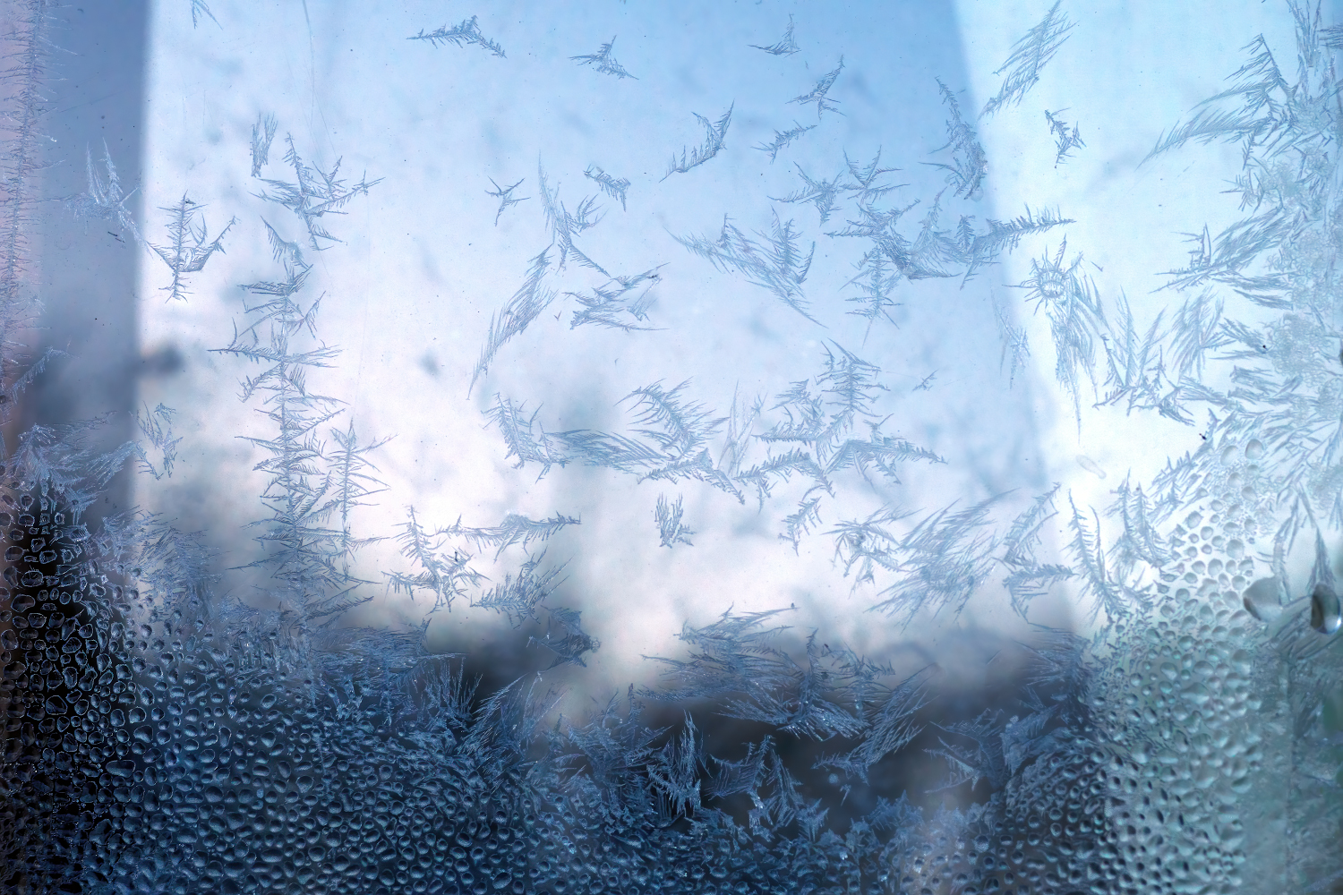 photo "***" tags: abstract, nature, macro and close-up, 