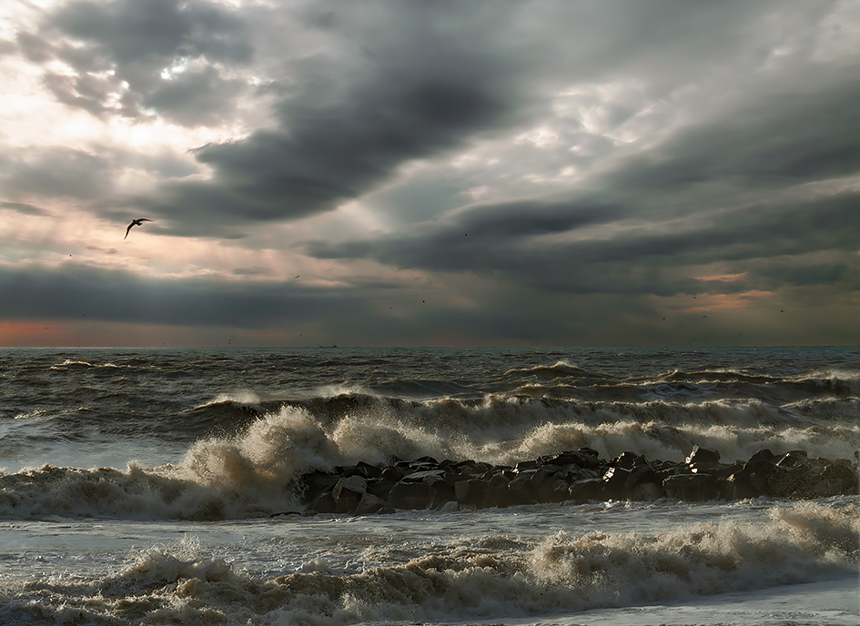 photo "***" tags: landscape, 