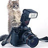 фотограф Juli