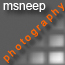 msneep