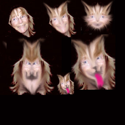 birgitta widegren