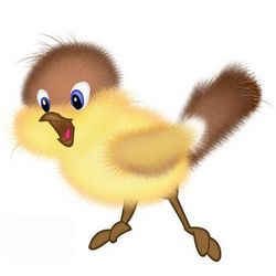 Sparrow